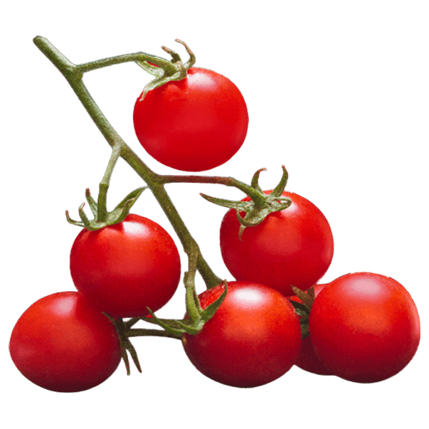 Tomates cerise de Pouilles – boîte de conserve de 500 g